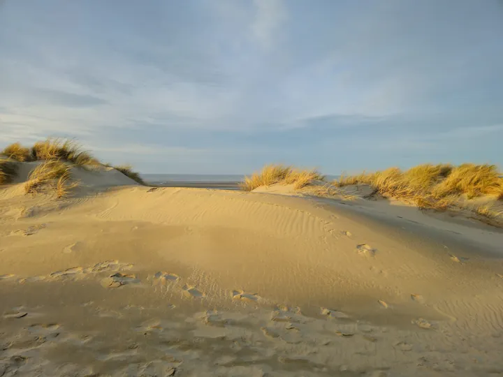 Oostnieuwkerke duinen wandeling in de koude (België)